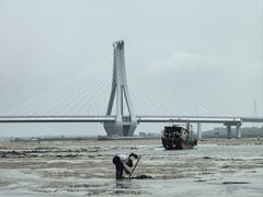 -北海金海湾红树林生态旅游区