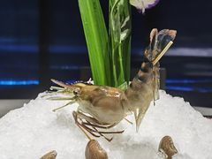 -1718海鲜姿造(苏宁宴请臻选店)
