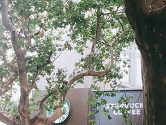 -星巴克(汾阳路店)