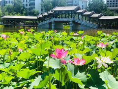 -西海子公园