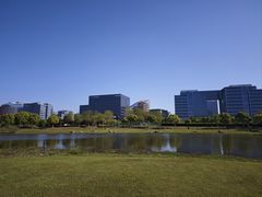 -春花秋色城市公园