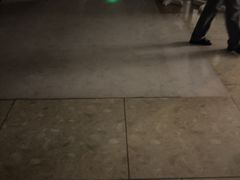 -大商麦凯乐(大连总店)