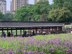 -龙头寺公园