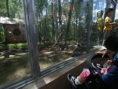 -哈尔滨北方森林动物园