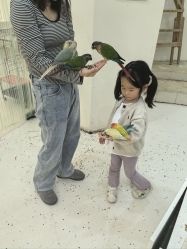 -Moni星球萌宠·小马宝莉·灵蛇·高端高阶全萌宠互动体验俱乐部(红豆国际广场店)
