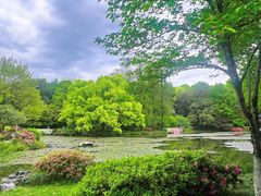 -杭州植物园