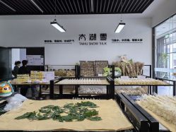 -太湖雪蚕桑文化园