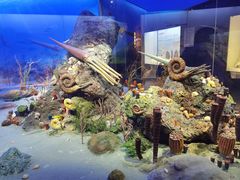 -重庆自然博物馆(新馆)