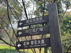 -南山植物园