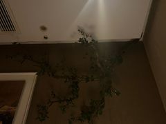 -新盈光·云会所(百丈东路店)
