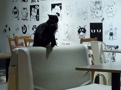 -小时光咖啡馆(开森度假森林店)