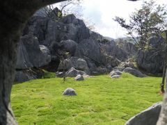 -千岛湖石林