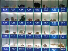 -中国地质博物馆