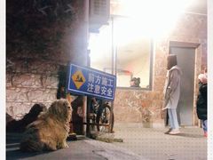 -许村蟹面(海宁许村大道店)