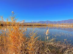 -野鸭湖国家湿地公园