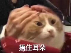-蒙肥羊·酸汤潮牛·鲜牛肉火锅烤肉自助(岗顶店)