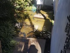 -大理老字号·舟渔的鱼野生菌海景餐厅(双廊店)