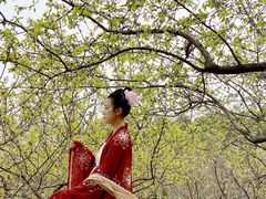 -秀丽东方