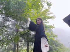 -玉苍山国家森林公园