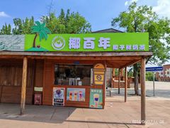 -太阳部落