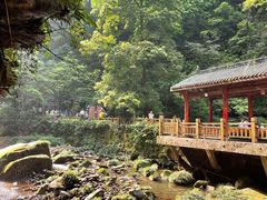 -碧峰峡风景区
