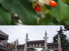 -关中书院