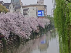 -常熟方塔园