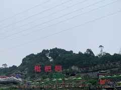 -枇杷园食为鲜火锅(南山店)