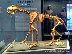 -北京周口店北京人遗址博物馆