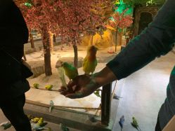 -酷嗒动物文化乐园(cutezoo西溪乐天城店)