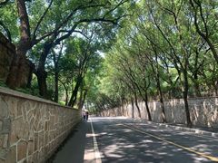 -上海佘山国家森林公园西佘山园