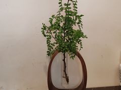 -扬州狮子楼·非遗淮扬菜(东关街店)