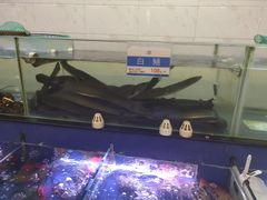 -欢乐海岸美食联盟
