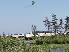 -春花秋色城市公园