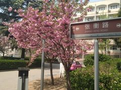 -山东大学(千佛山校区)