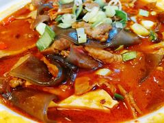 粉皮煨牛杂-大鸭梨烤鸭(甘家口店)