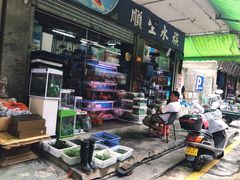 -寻味顺德·珍之宝酒楼(银钻店)