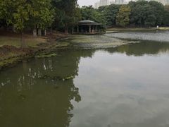 -白塘生态植物园