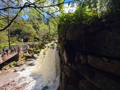 -汤旺河林海奇石景区