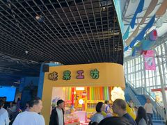 -海合安成都极地海洋公园
