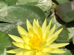 -南京市无想山景区