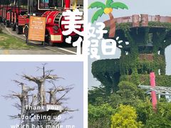 -芒洲湿地公园
