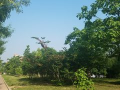 -山东大学(兴隆山校区)