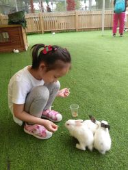 点击看大图 -萌宠亲子动物乐园(槐房万达店)