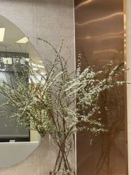 -深圳鹏爱秀琪医疗美容医院