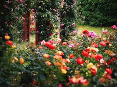 -上海滨江森林公园