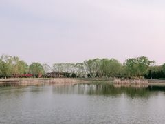 -永定河休闲森林公园