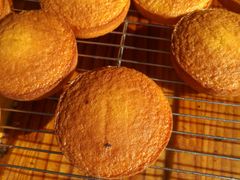 -朱記糯米蛋糕(千川百货店)