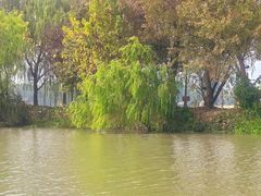 -长兴太湖图影湿地文化园