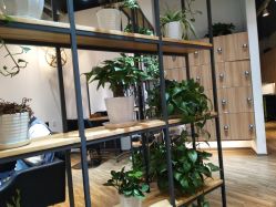 -曼都发型·臻选